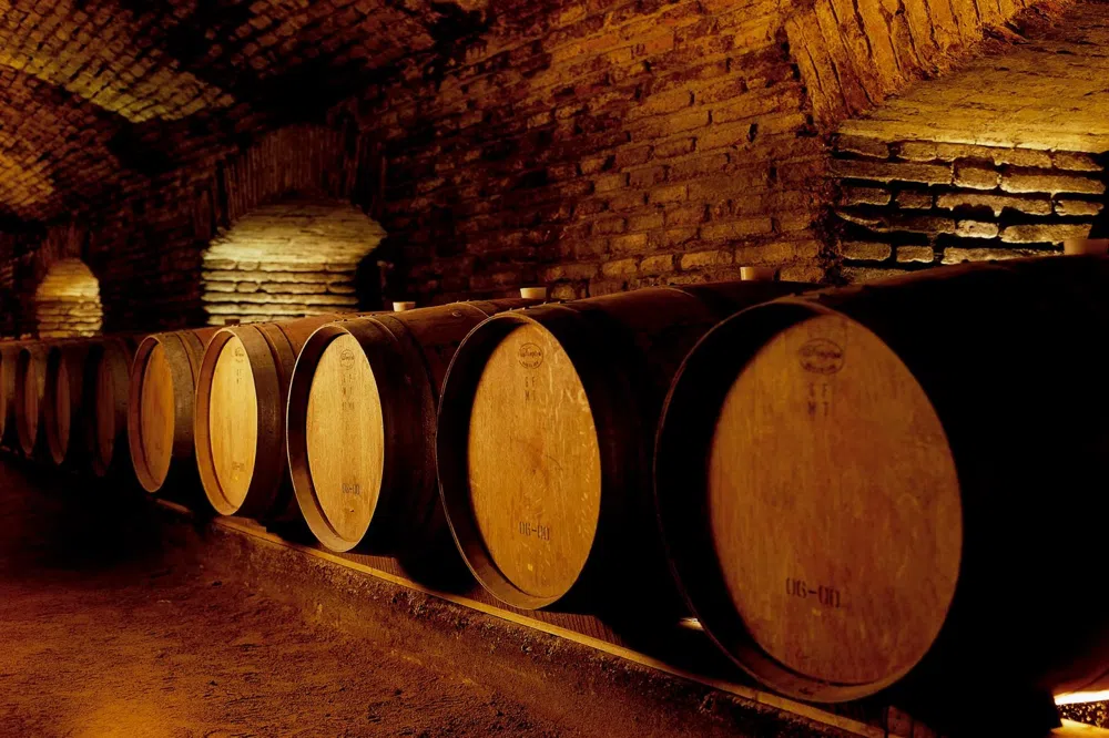 Maipo Valley Wine Country