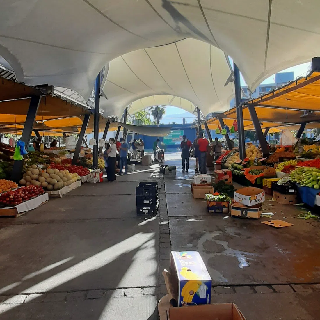 Feria Chacareros de Bilbao, Santiago