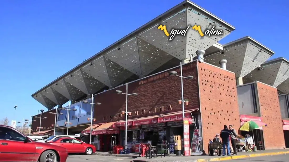 Mercado Tirso de Molina, Santiago