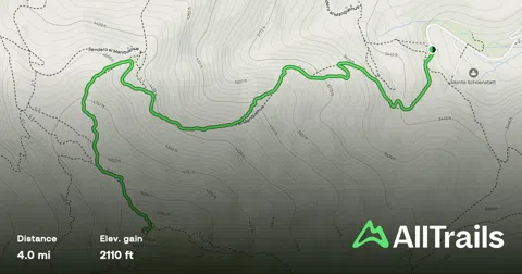 Where Santiago's Skyline Turns Into a Mountain Trail