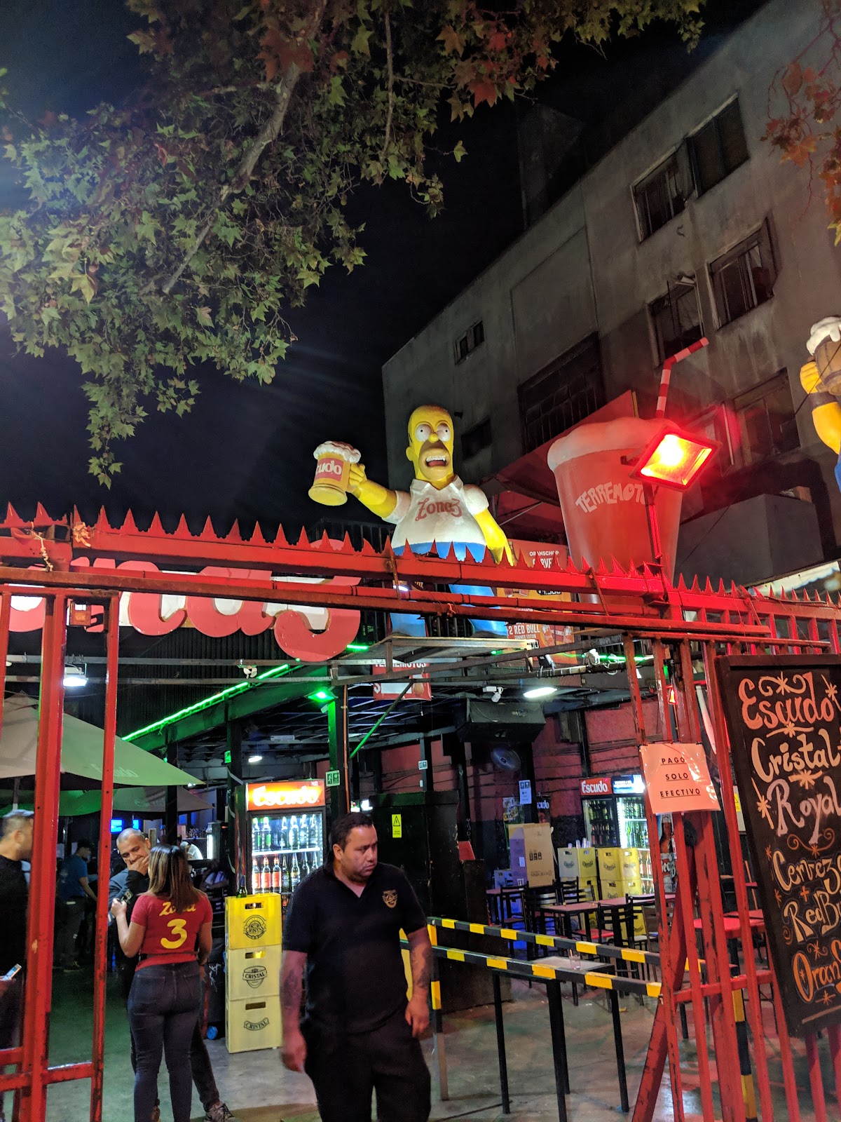 Maestra Vida, Santiago