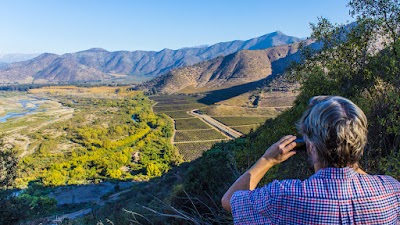 Wine Tasting in the Maipo Valley