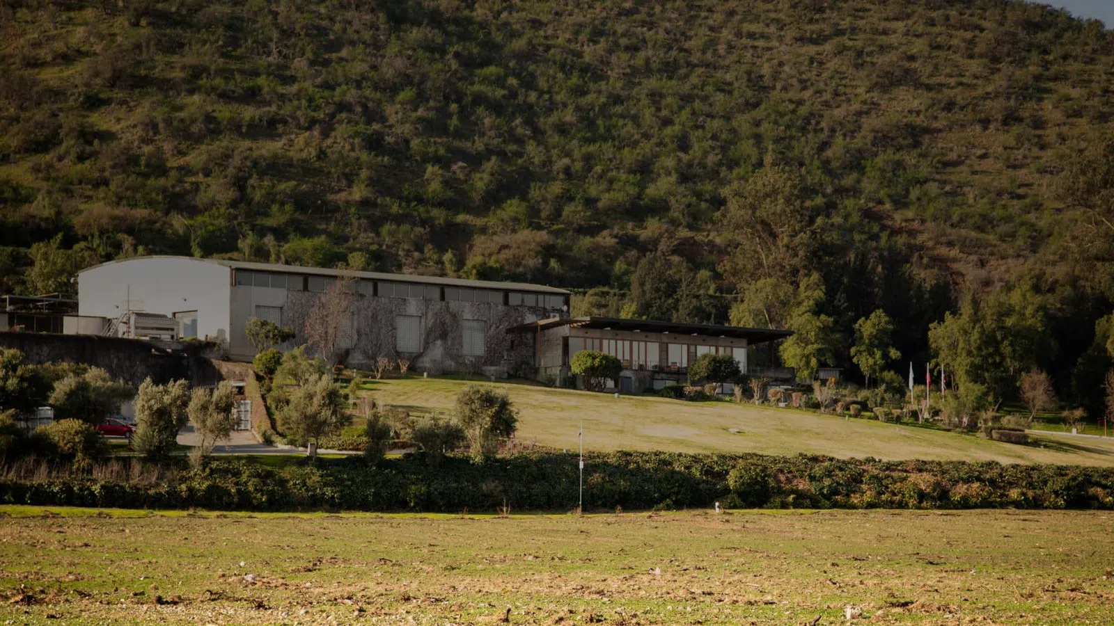 Odfjell Family Vineyards, Santiago